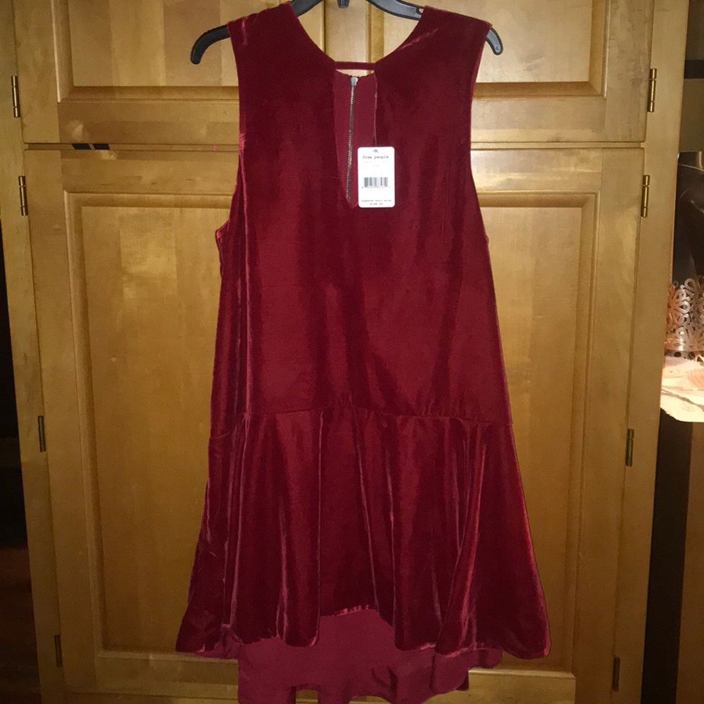 Free People NWT Velvet Mini